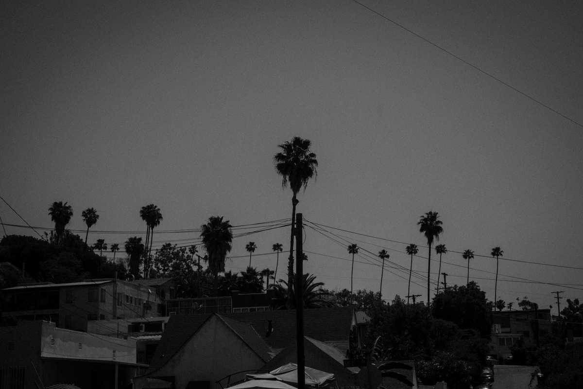 echo park 2012